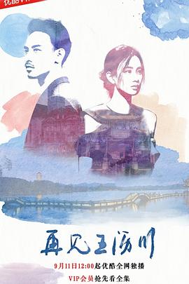 再见王沥川第2集