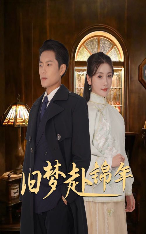 旧梦赴锦年第21-40集