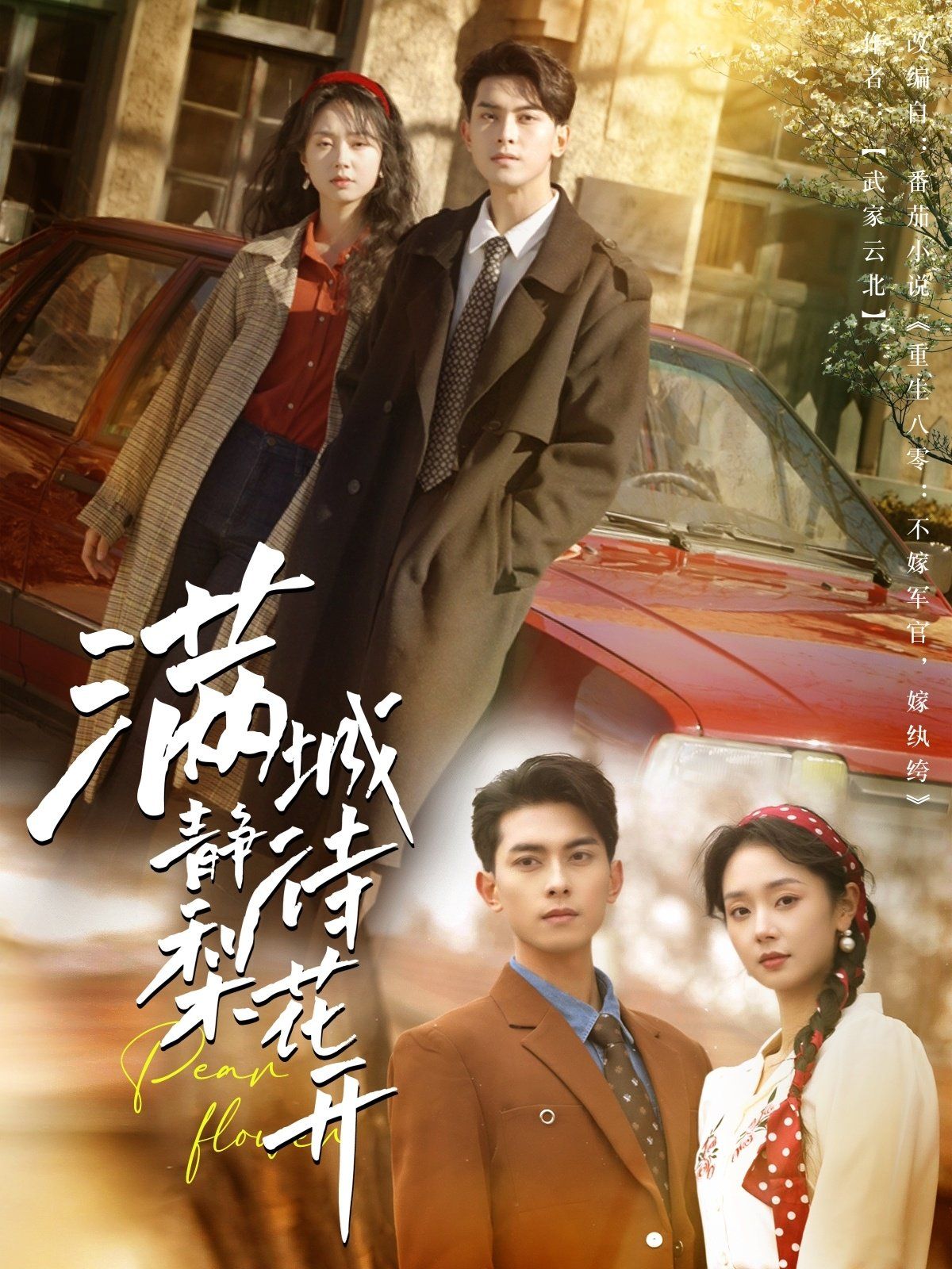 满城静待梨花开第1-20集