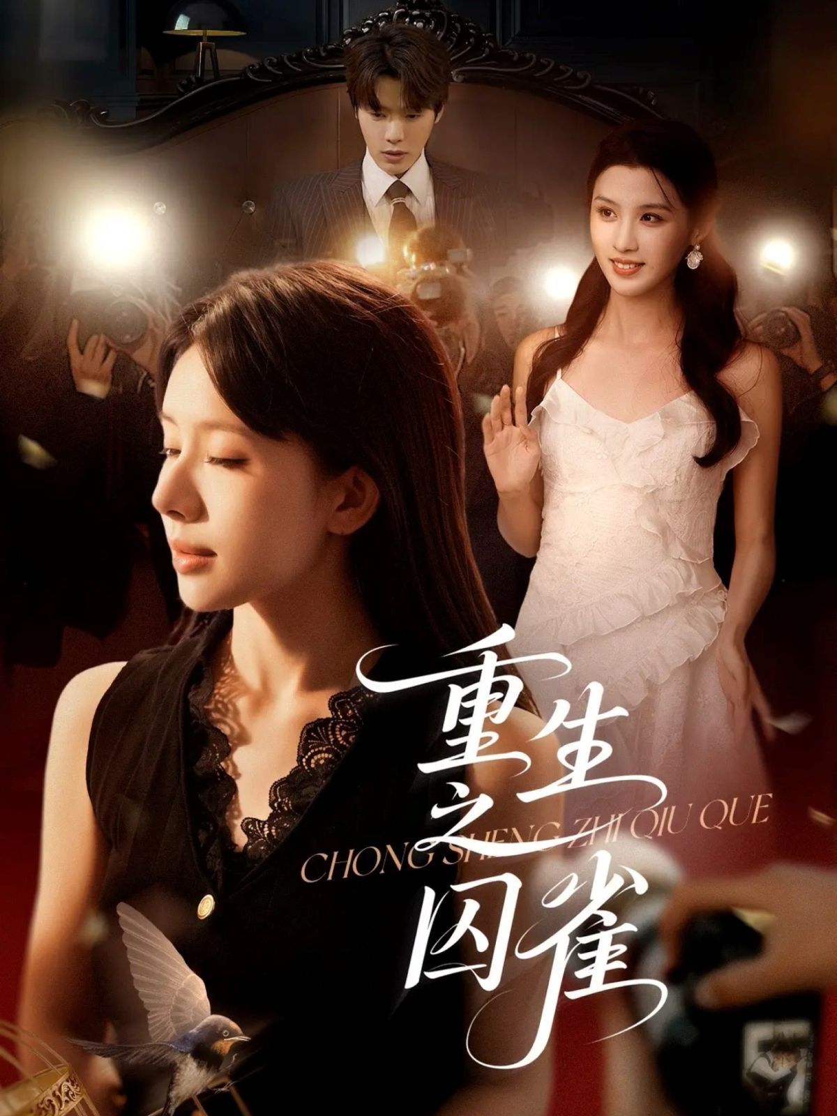 重生之囚雀(全集)