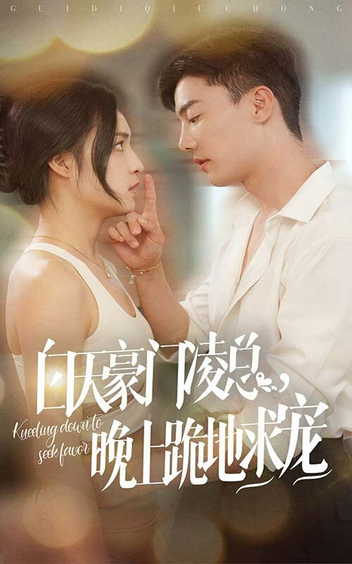 白天豪门凌总晚上跪地求宠第21-40集