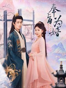 奉旨为婚第21-40集