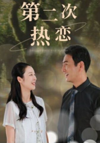 第二次热恋第21-40集