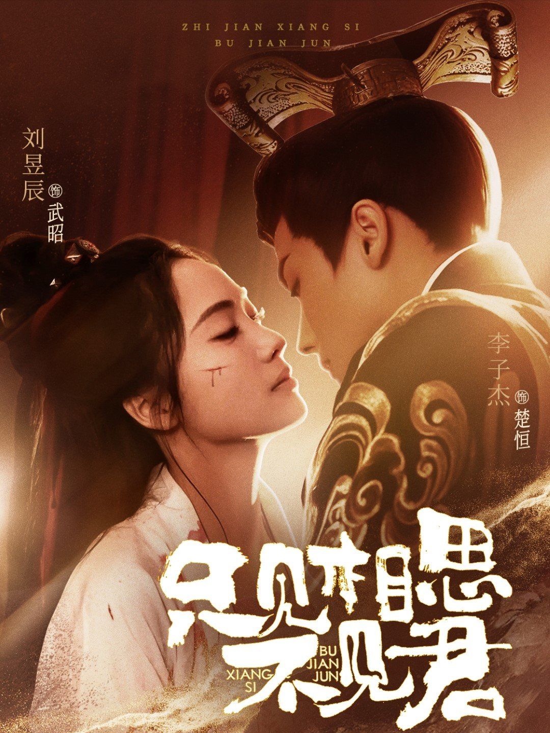 只见相思不见君第1-20集