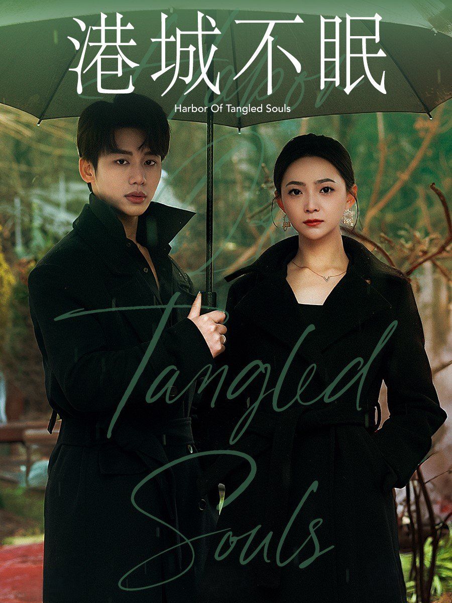 港城不眠第1-20集