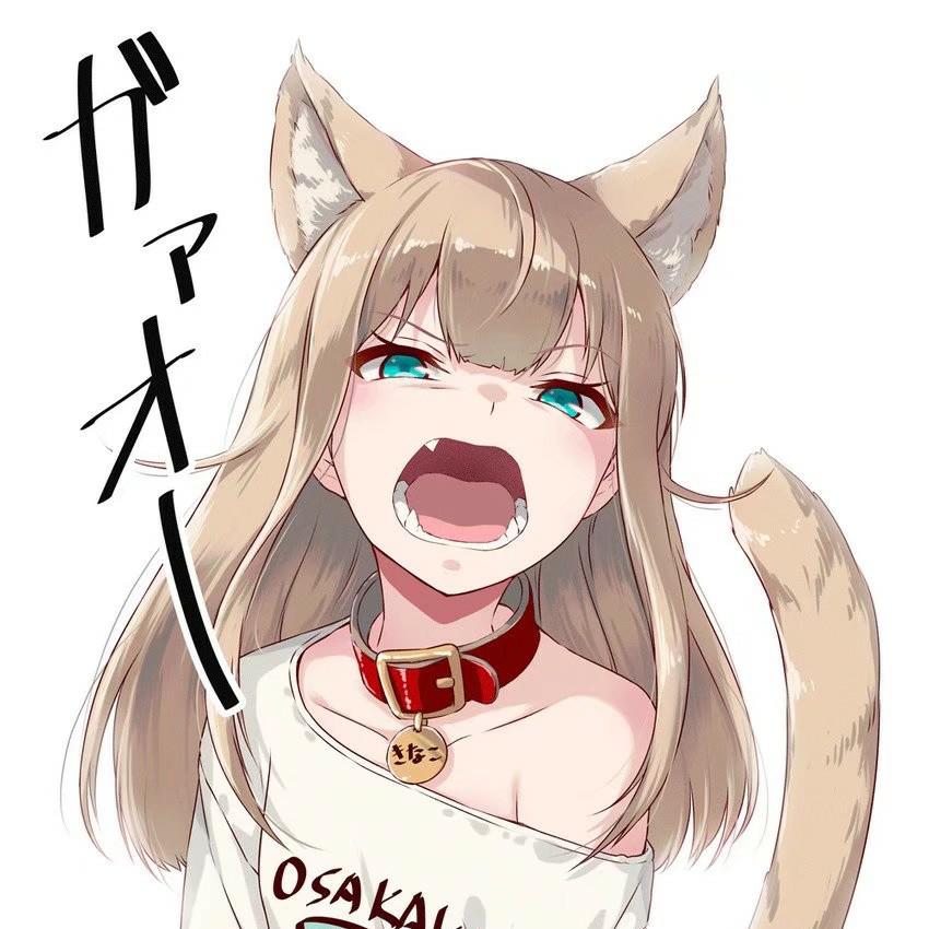 猫物语（白）第01集